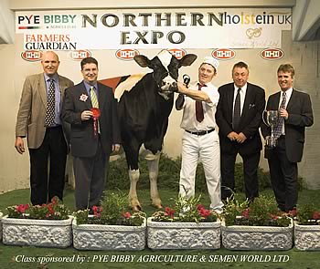 GRAND CHAMPION - EWEFIELDS LUCY 7 EX92 (2) F Harrison & Sons