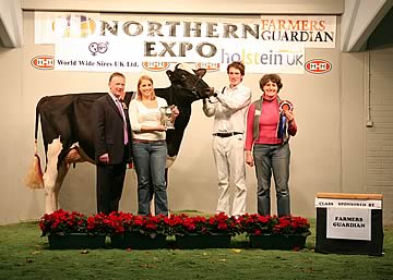 Reserve Grand Champion - Berryholme Goldwyn Maud