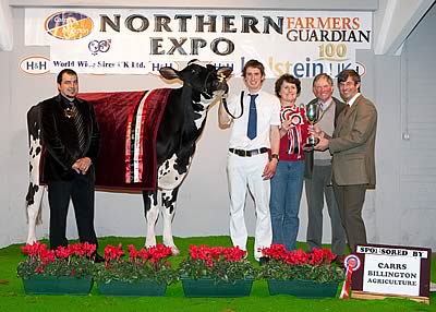 Grand Champion - Berryholme Shottle Flo