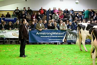 The judge Jaume Serrabassa in action