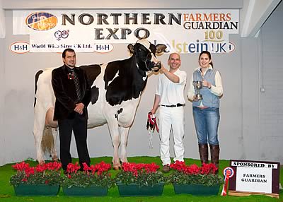 Reserve Grand Champion - Stannock Talent Kiwi VG88