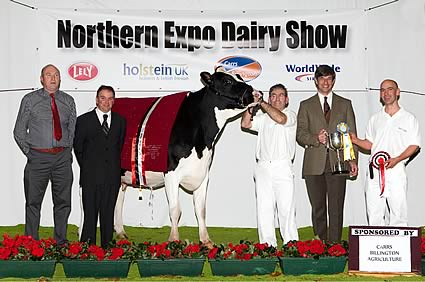 Champion, Errolston Damion Ricki VG85