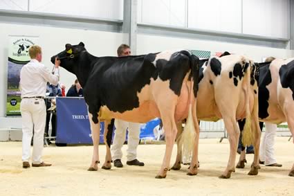 Northern Dairy Expo 2014