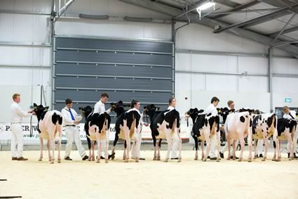 Holstein Expo