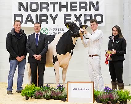 Champion Heifer in milk