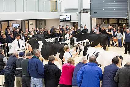 Northern Holstein Expo 2015