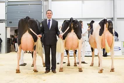 Holstein Expo